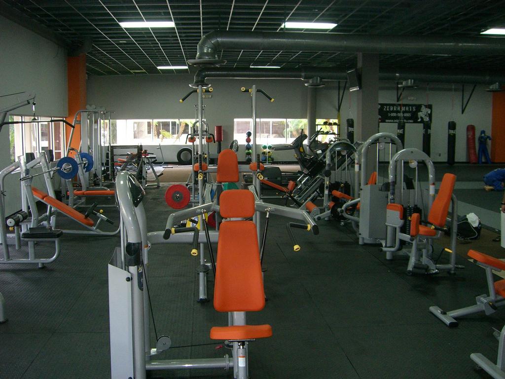 Iron Fighter MMA Miami & Fitness Center Miami FL 33172 3057157161